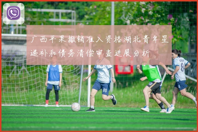 广西平果撤销准入资格湖北青年星递补和债务清偿审查进展分析