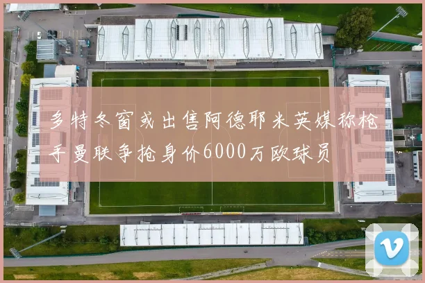 多特冬窗或出售阿德耶米英媒称枪手曼联争抢身价6000万欧球员