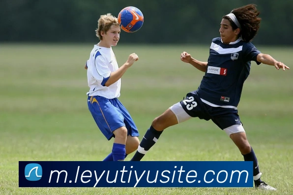 乐鱼体育APP 高清赛事图